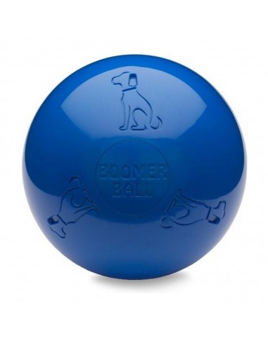 Jouet pour chien Company of Animals Boomer Bleu (200mm)