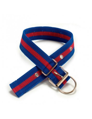 Collier pour Chien Grand Convient pour les chiens et les autres animaux de compagnie (0,5 x 51 x 4 cm)