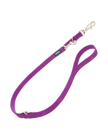 Laisse pour Chien Red Dingo Violet (2 x 200 cm)