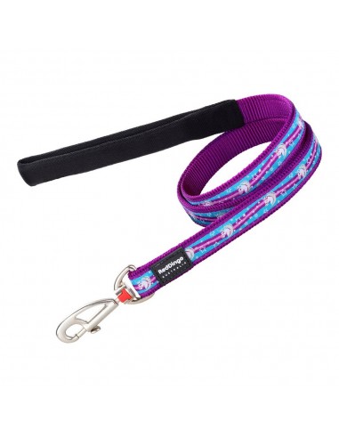 Laisse pour Chien Red Dingo Violet (2 x 120 cm)