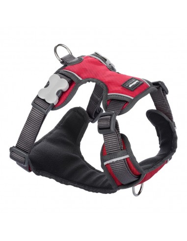 Harnais pour Chien Red Dingo Rembourré Rouge Taille M