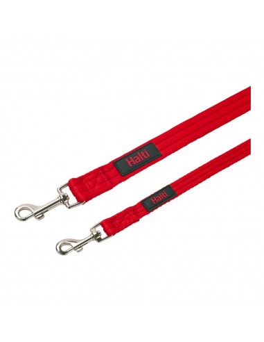 Laisse pour Chien Company of Animals Rouge Taille S