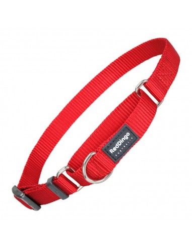 Collier pour Chien Red Dingo Semi-brouillard Rouge (33-50 cm) (2 x 32-47cm)