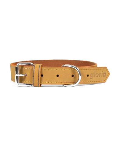 Collier pour Chien Gloria Oasis Jaune (1,5 x 40 cm)