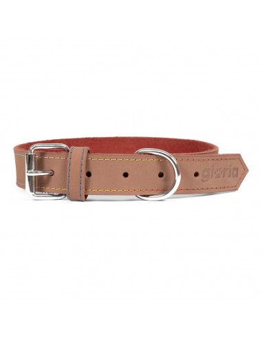 Collier pour Chien Gloria Oasis Marron (45 x 1,8 cm)