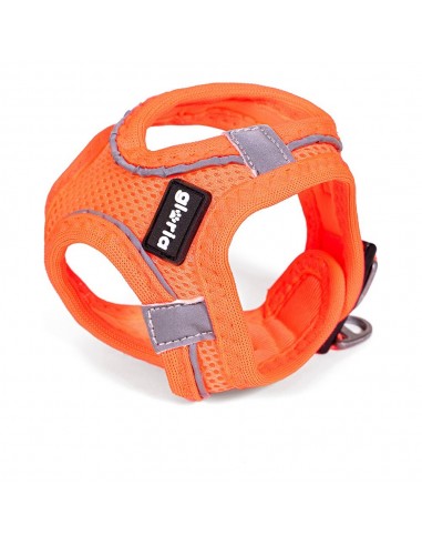 Harnais pour Chien Gloria Air Mesh Trek Star Réglable Orange Taille L (33,4-35 cm)