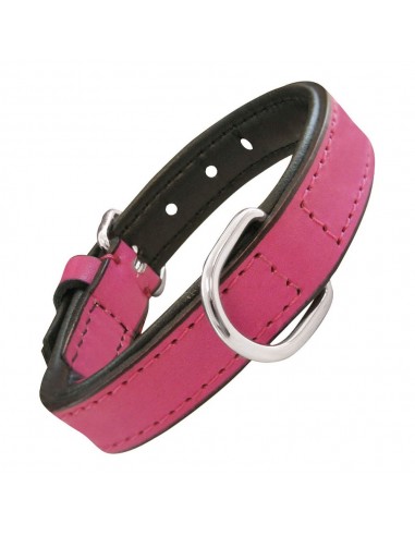 Collier pour Chien Gloria Rembourré Fuchsia (40 x 2 cm)