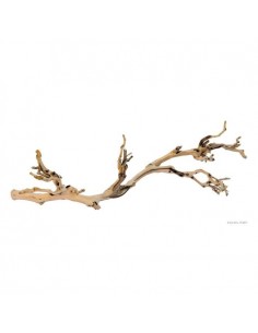 EXO TERRA Décoration Pied de vigne sablé - Grand modele - Pour terrarium