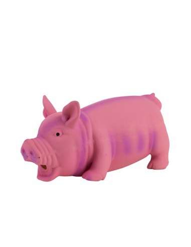 Jouet pour Chien Hearts  Homies Cochon Plastique Multicouleur