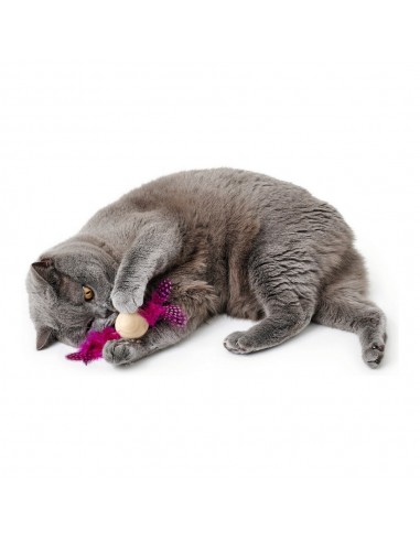 Jouet pour chats Hunter Mala Plumes Rose Ballon (4 cm)