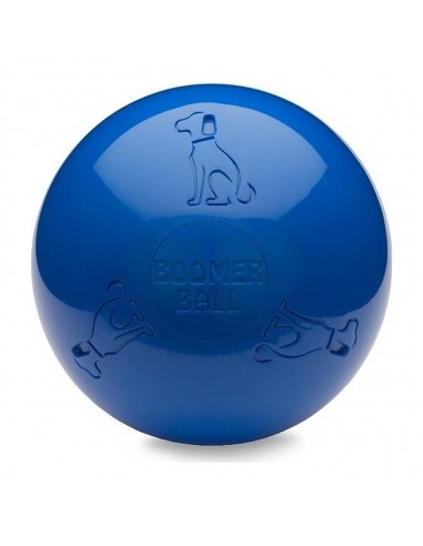 Jouet pour chien Company of Animals Boomer Bleu (150mm)